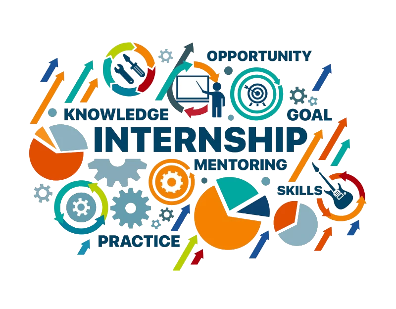 Internships / Scholarships